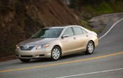 2008 Toyota Camry Picture